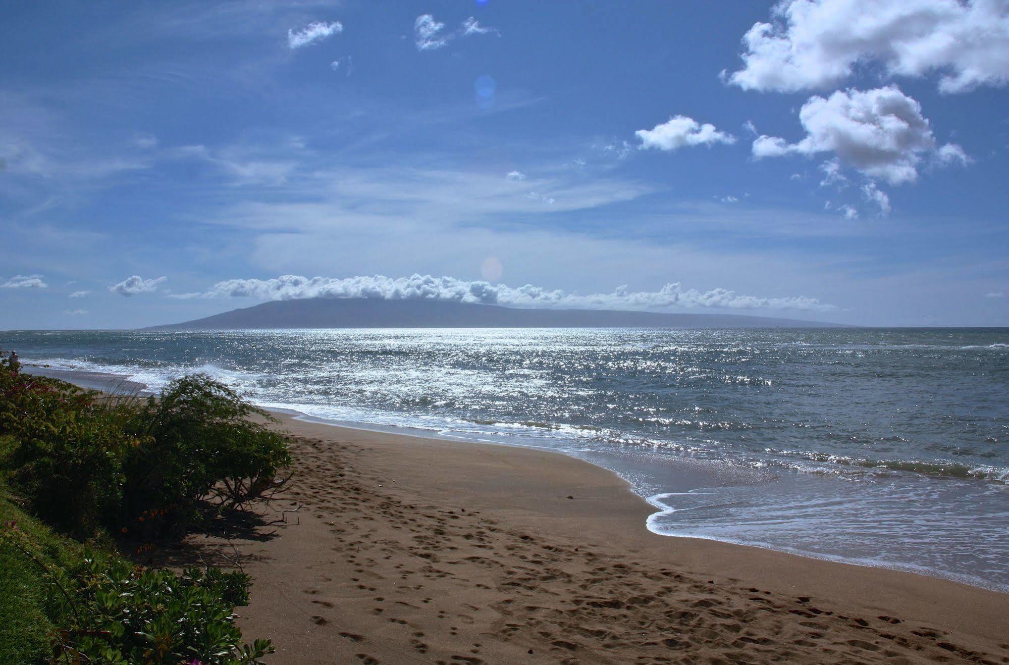 Ocean View Suite At Royal Kahana Exterior photo
